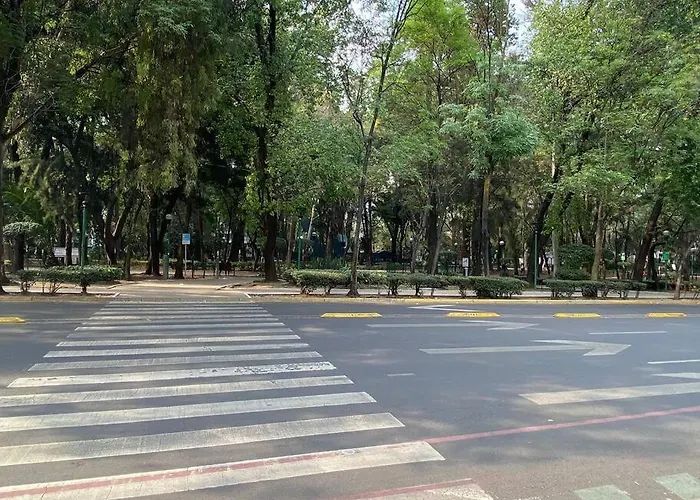 Cozy Depa W/Amenities Condesa