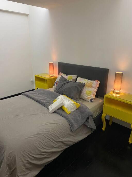 Apartment Cozy Depa W/amenities Condesa Mexico City