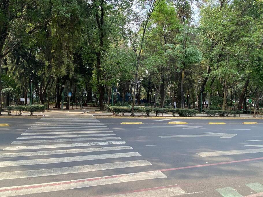 Cozy Depa W/amenities Condesa * Mexico City
